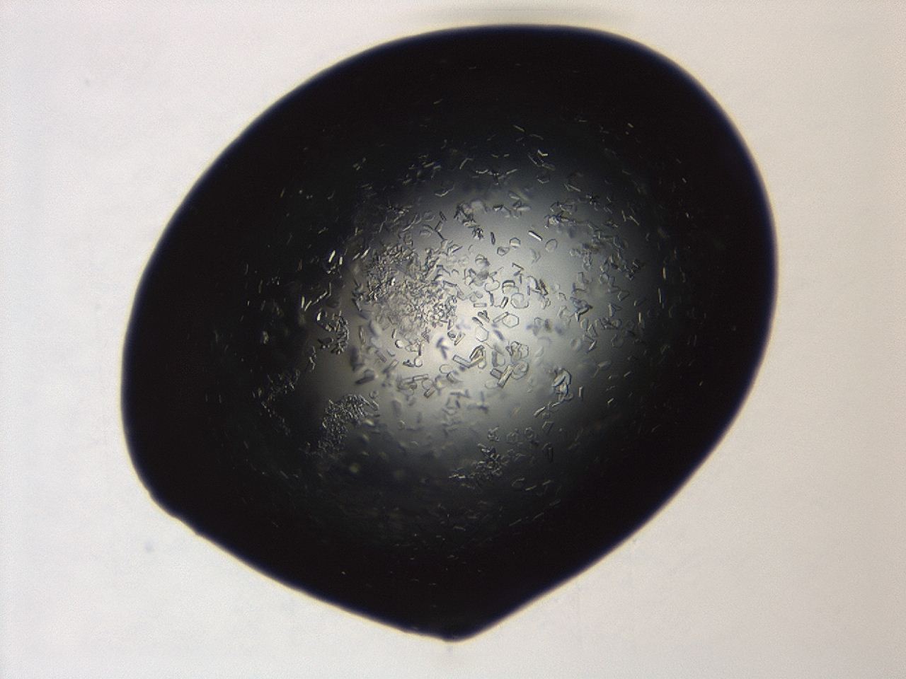 04ex_A9_ImagerDefaults_8.jpg