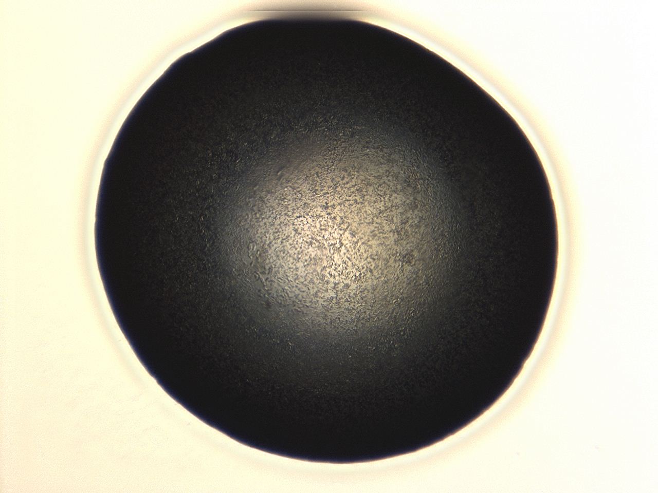04ex_A10_ImagerDefaults_8.jpg