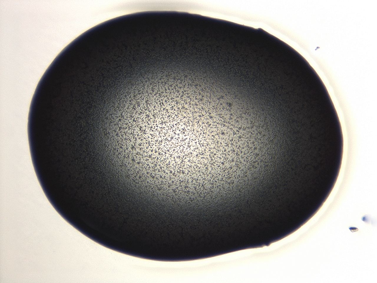 04ex_A11_ImagerDefaults_3.jpg