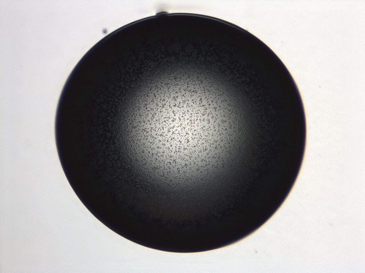 04ex_A12_ImagerDefaults_3.jpg