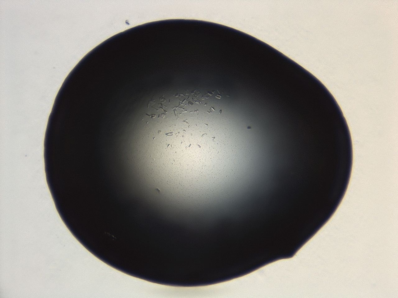 04ex_B3_ImagerDefaults_8.jpg