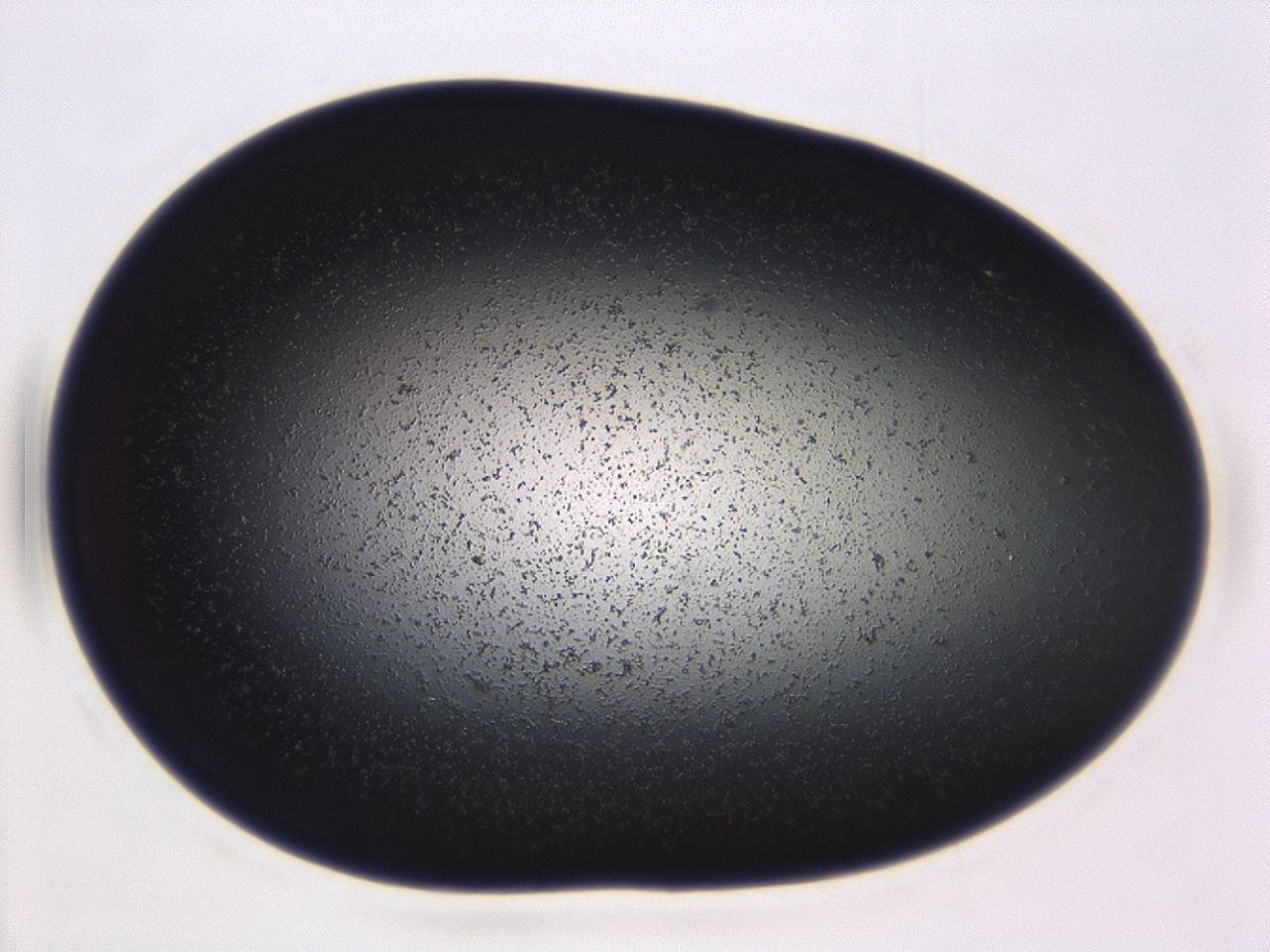 04ex_B4_ImagerDefaults_0.jpg