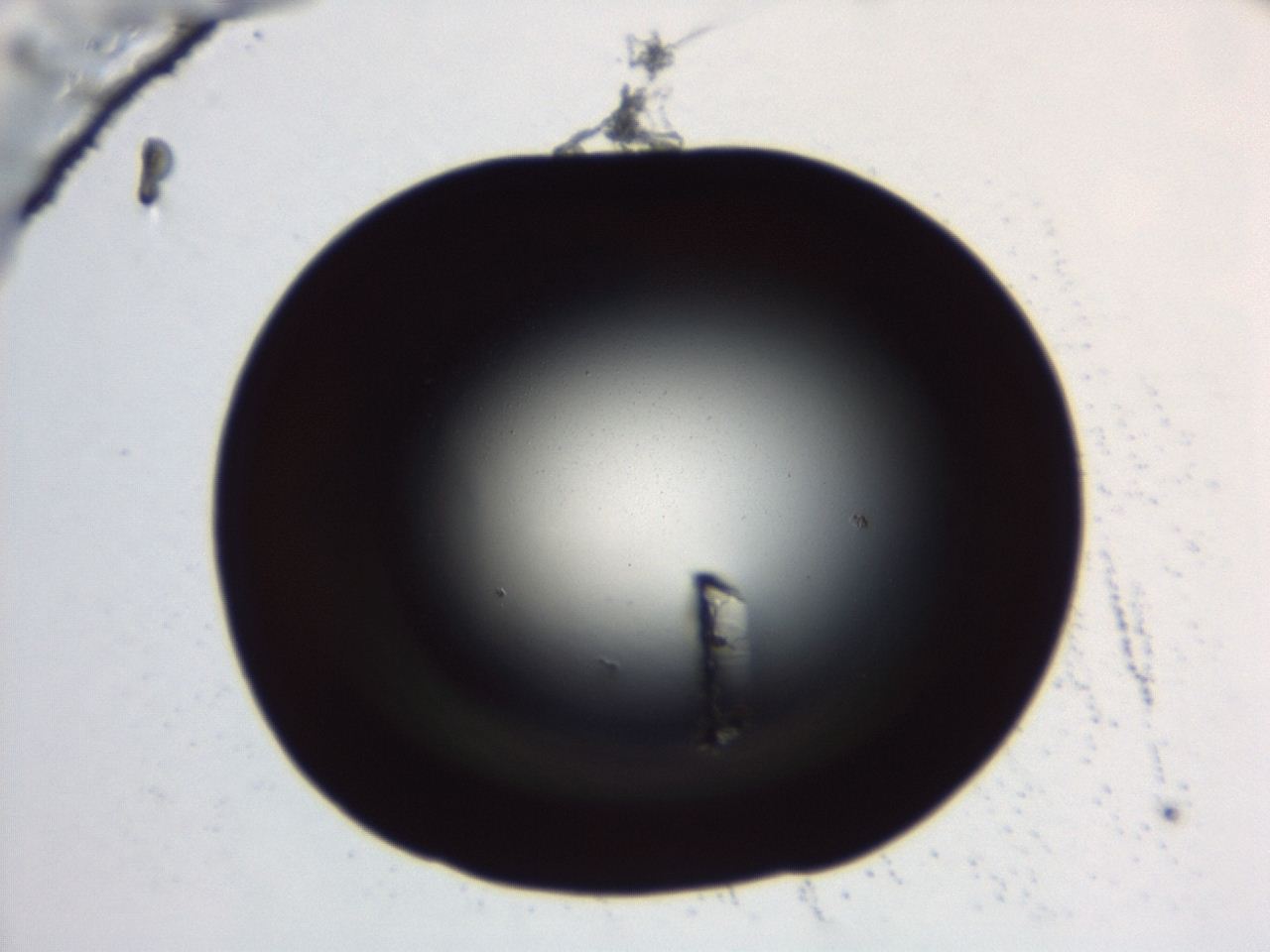 04ex_B7_ImagerDefaults_0.jpg