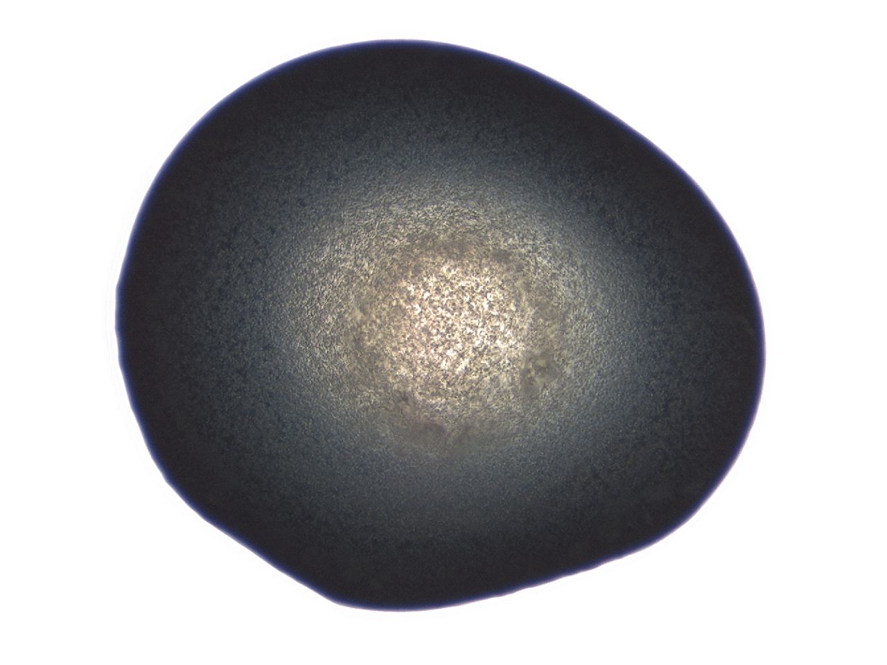 04ex_B8_ImagerDefaults_3.jpg