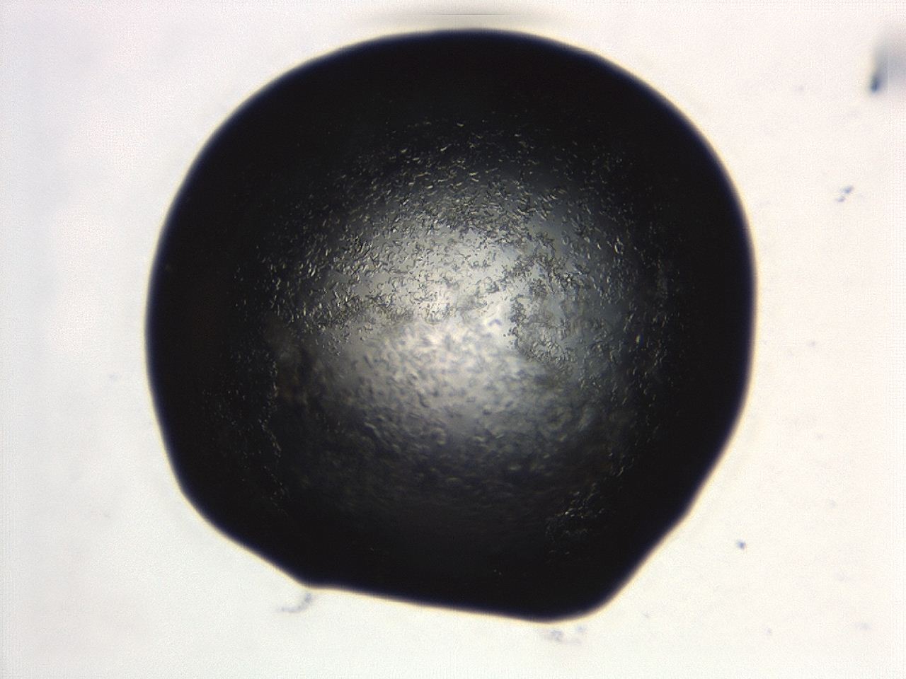 04ex_B10_ImagerDefaults_8.jpg