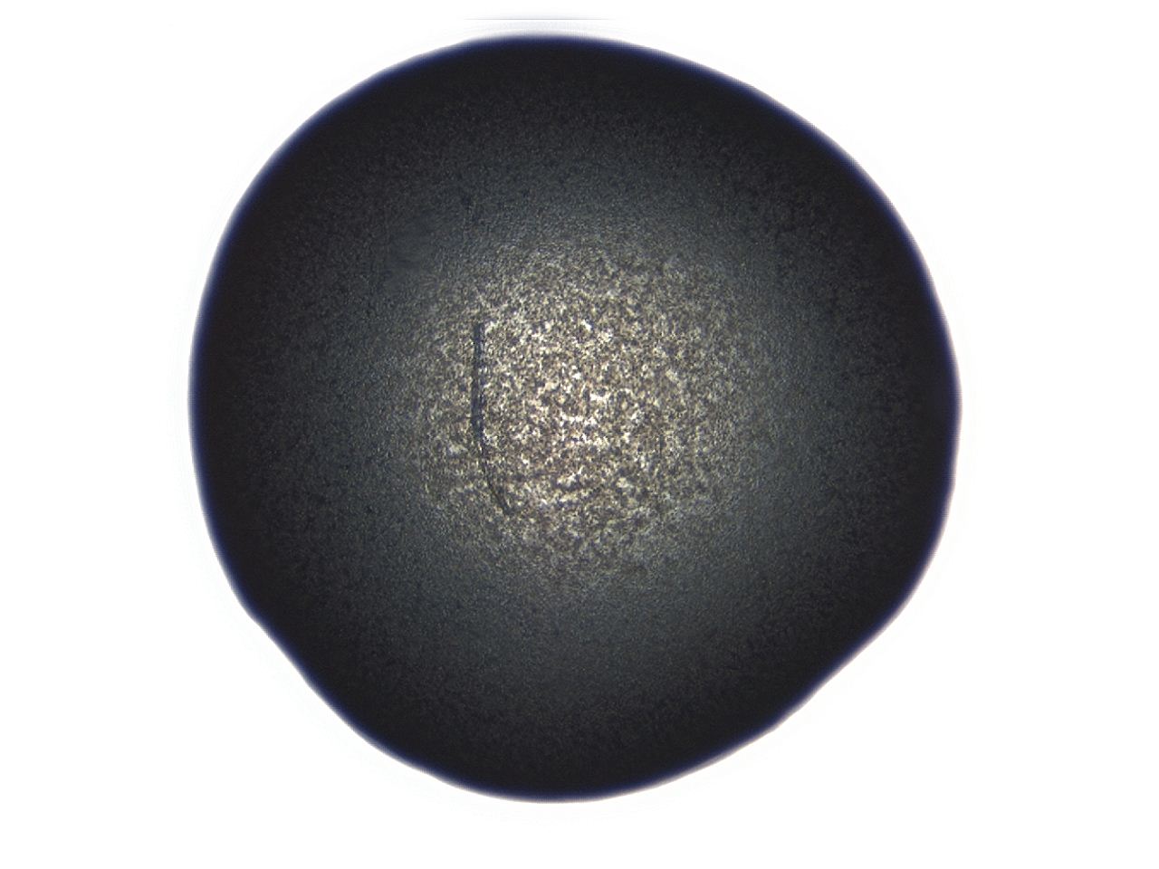 04ex_B11_ImagerDefaults_3.jpg