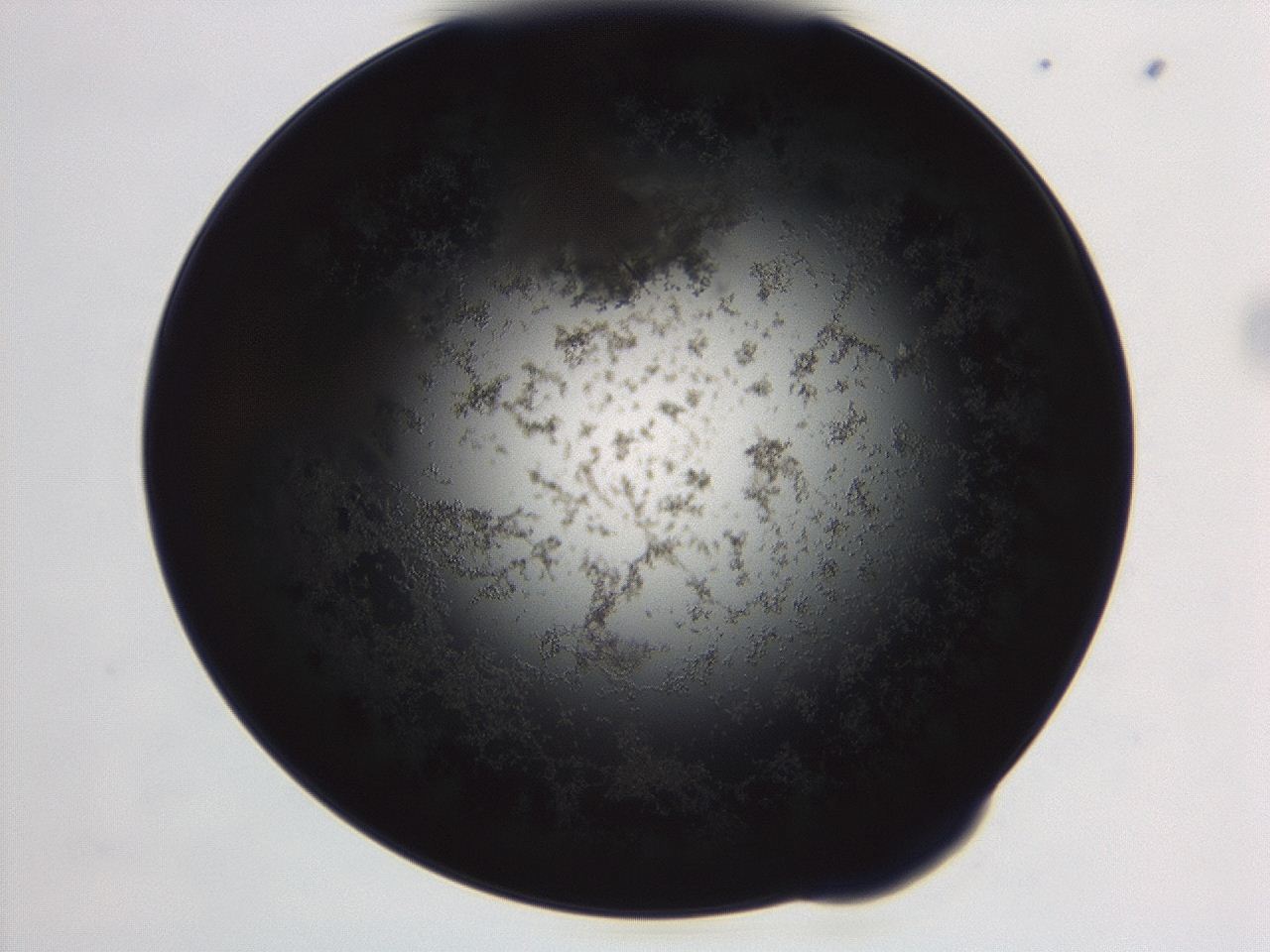 04ex_B12_ImagerDefaults_3.jpg