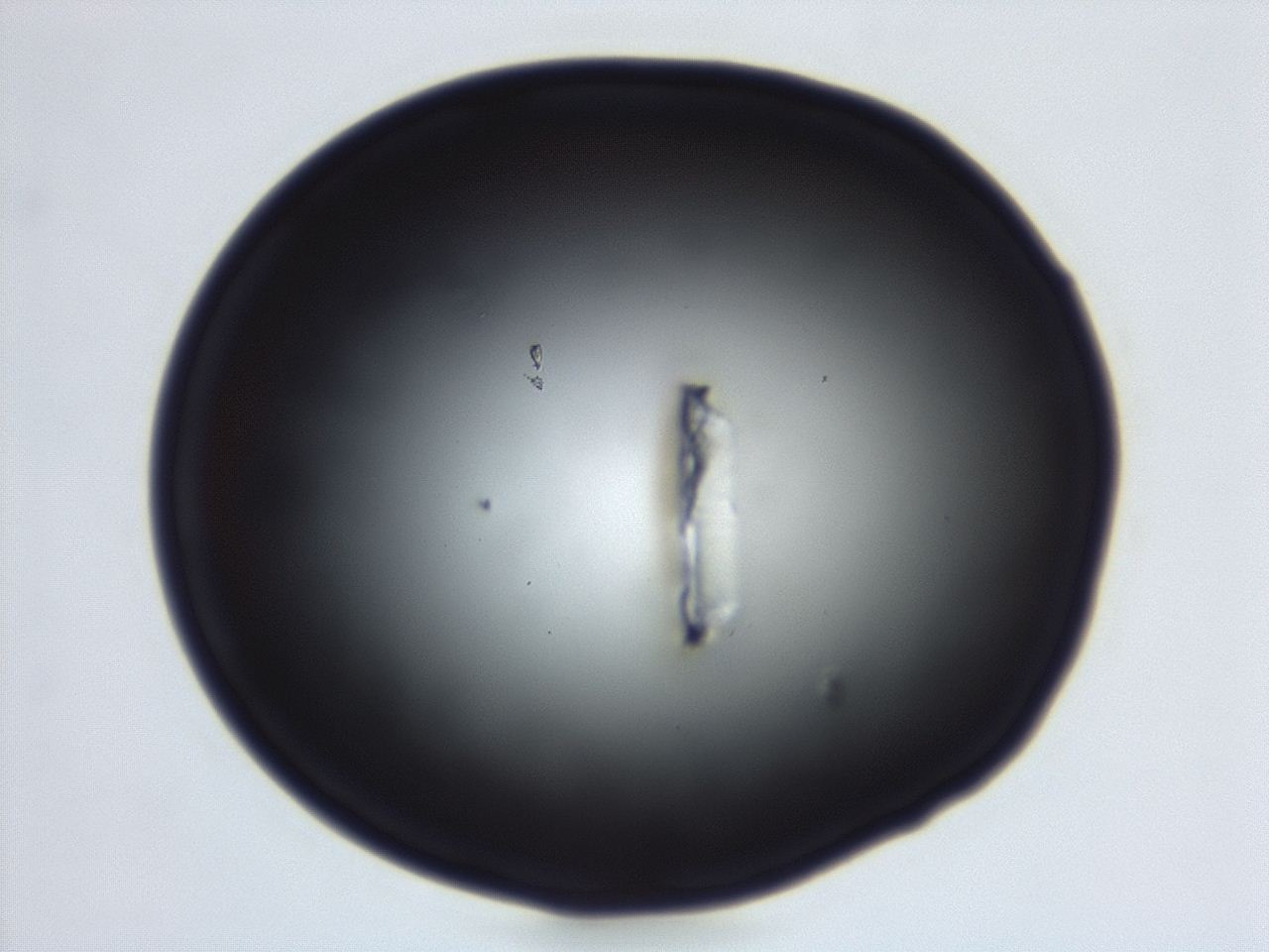 04ex_C1_ImagerDefaults_0.jpg