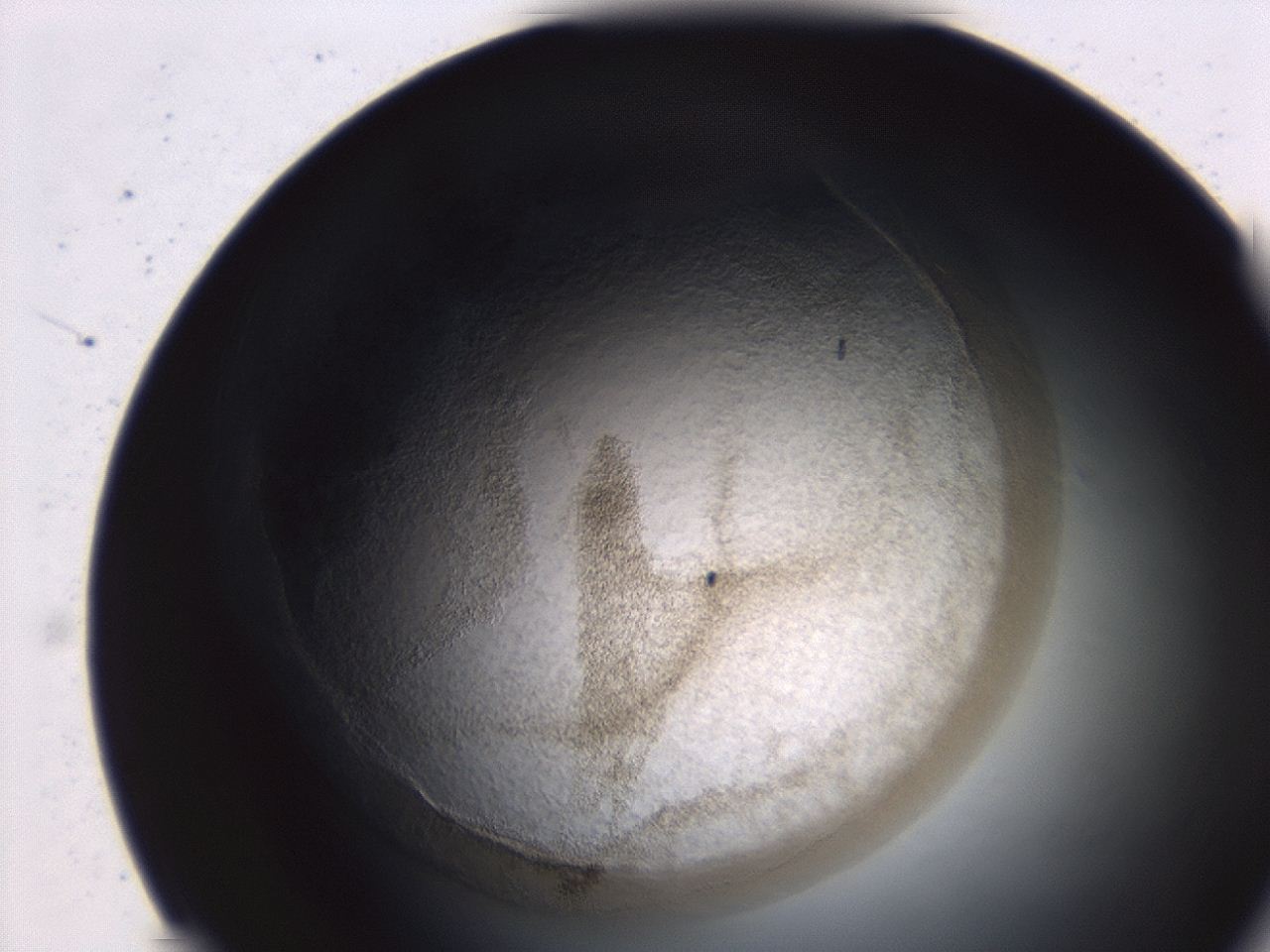 04ex_C2_ImagerDefaults_3.jpg