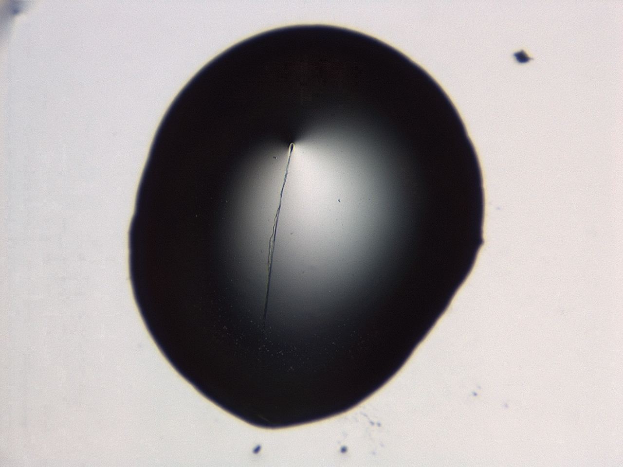 04ex_C3_ImagerDefaults_0.jpg