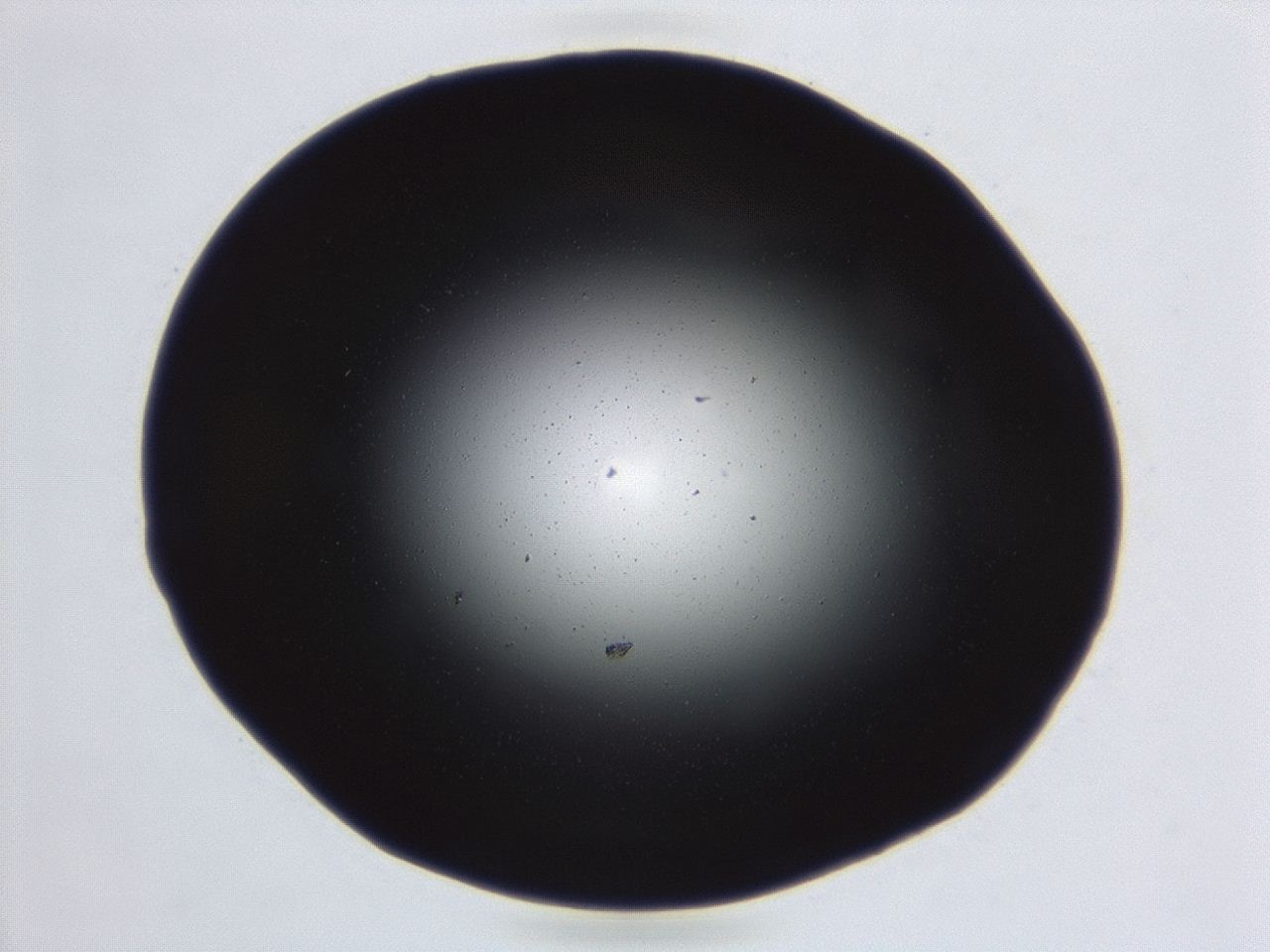 04ex_C5_ImagerDefaults_0.jpg