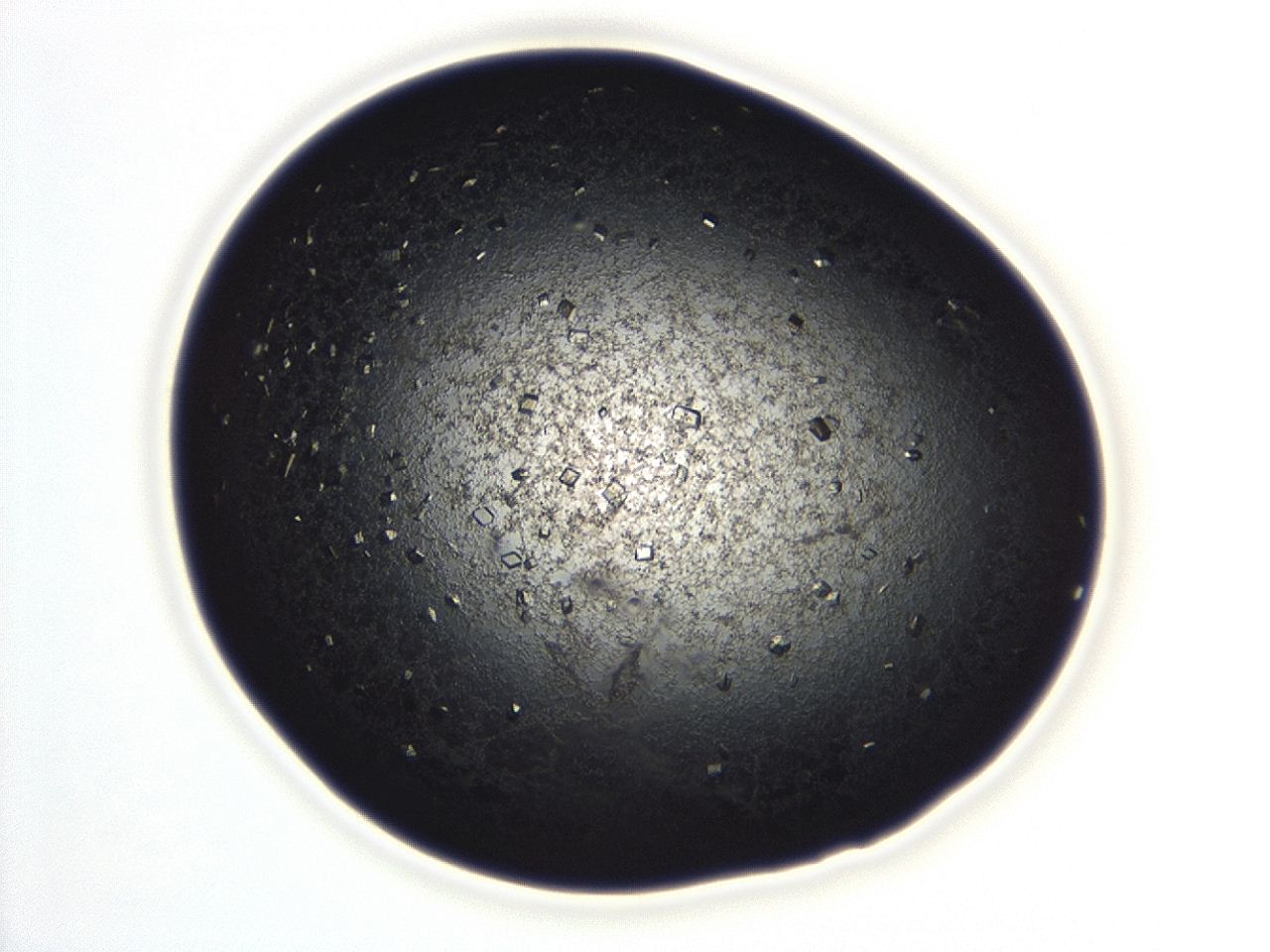 04ex_C8_ImagerDefaults_8.jpg