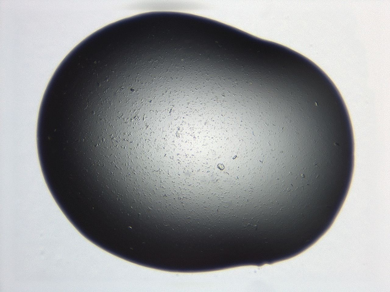 04ex_C9_ImagerDefaults_8.jpg
