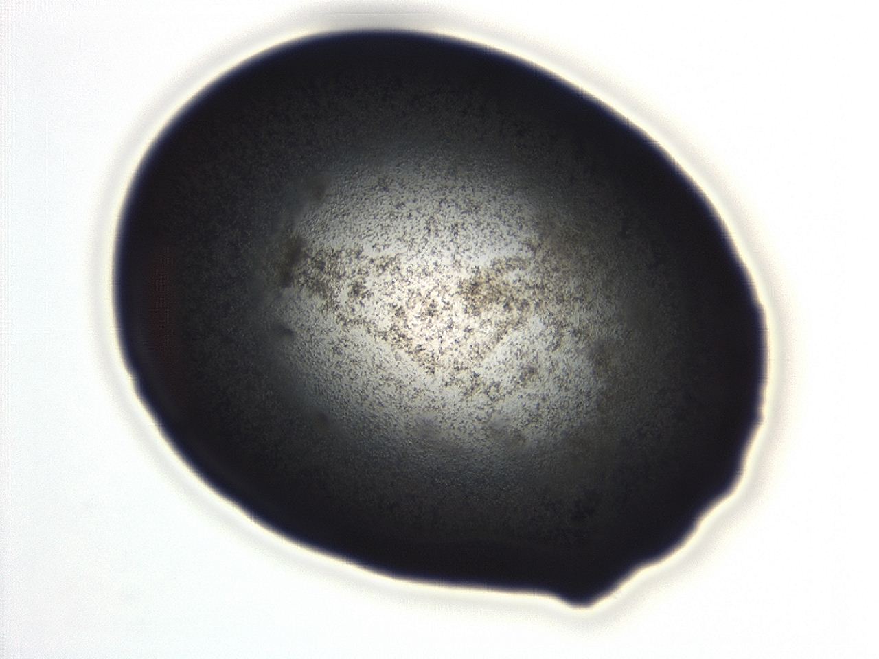 04ex_C11_ImagerDefaults_3.jpg