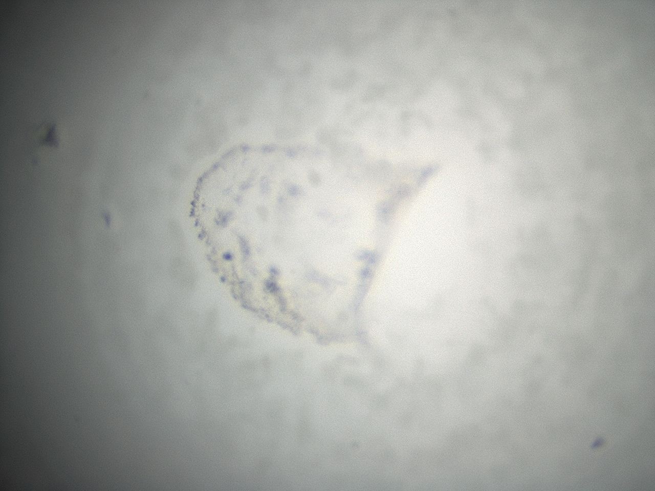 04ex_C12_ImagerDefaults_3.jpg