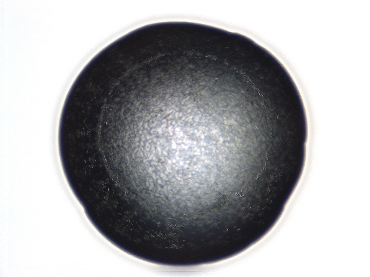 04ex_D2_ImagerDefaults_8.jpg