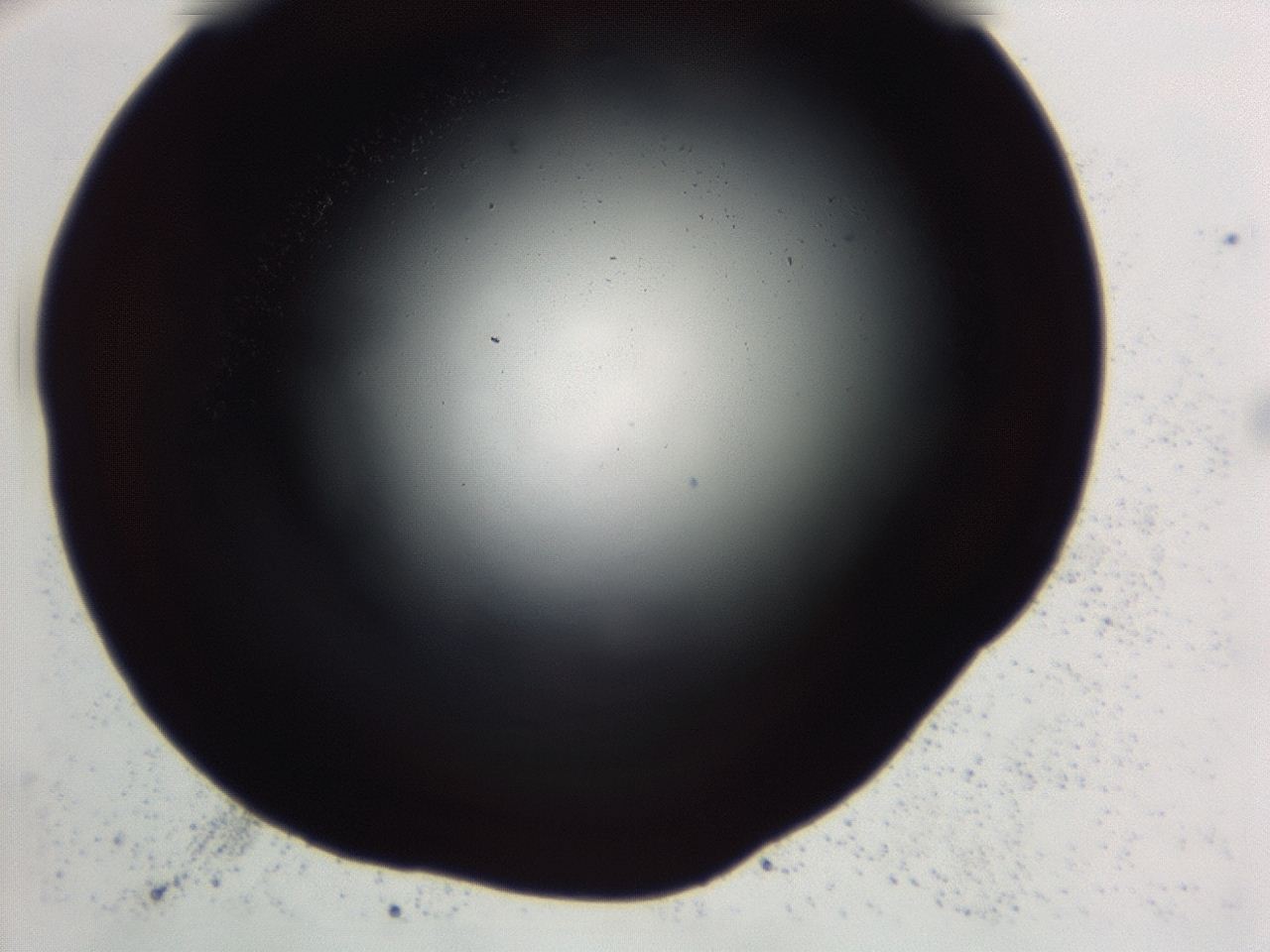 04ex_D8_ImagerDefaults_0.jpg