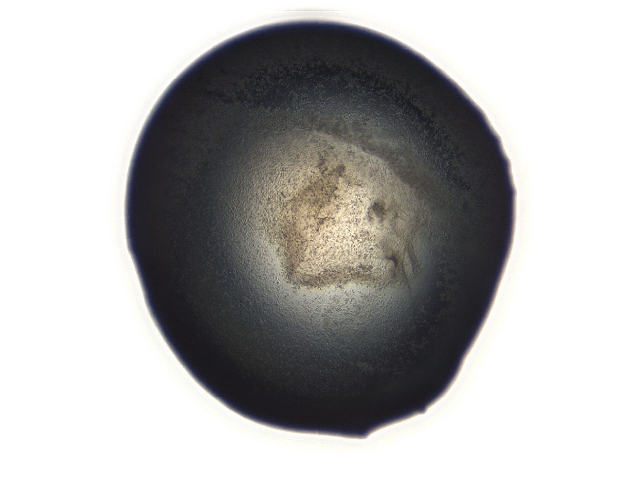 04ex_D11_ImagerDefaults_3.jpg