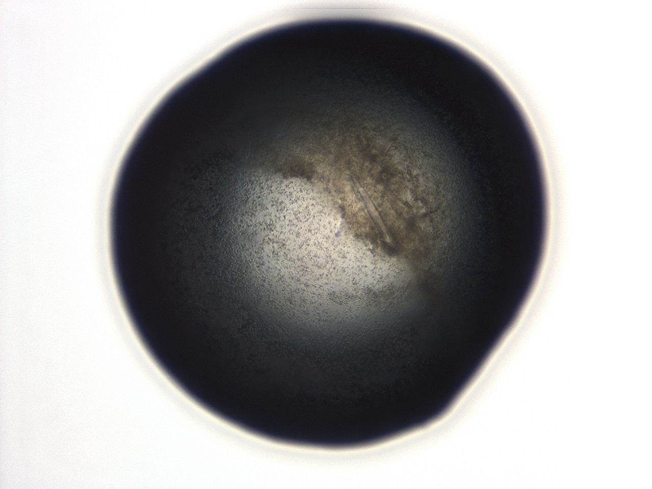 04ex_D12_ImagerDefaults_3.jpg