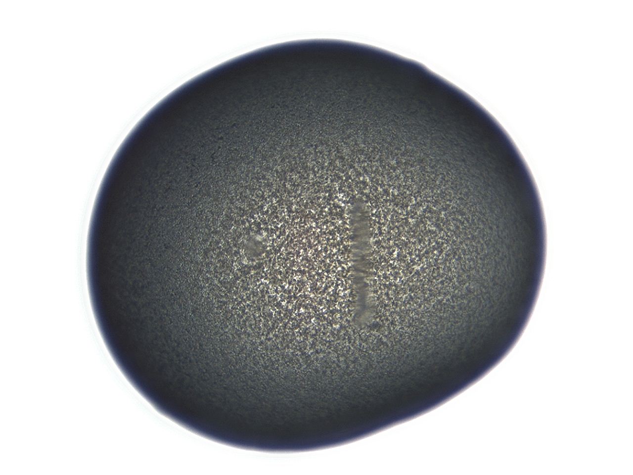 04ex_E1_ImagerDefaults_3.jpg