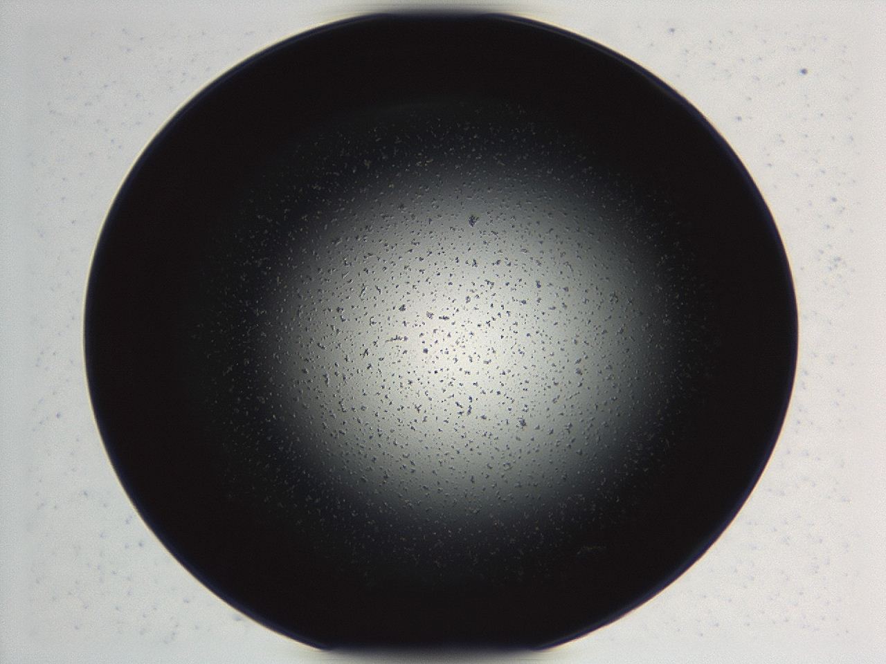 04ex_E3_ImagerDefaults_3.jpg
