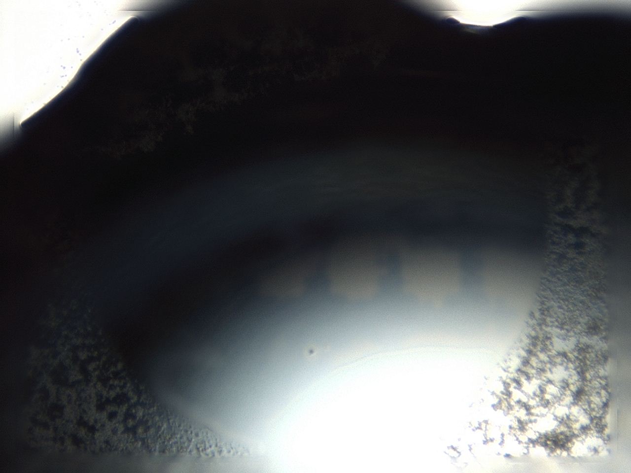 04ex_E4_ImagerDefaults_3.jpg