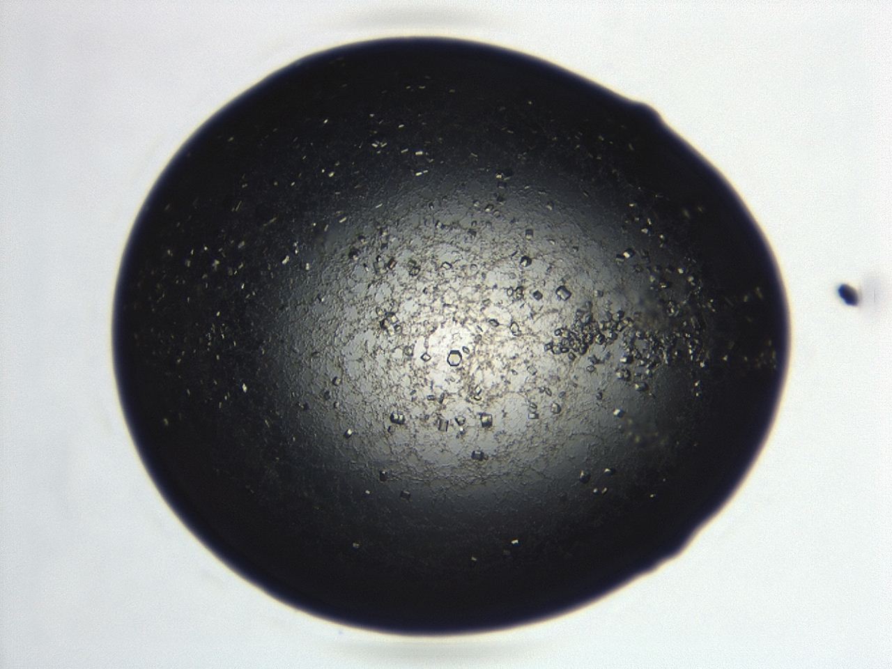 04ex_E5_ImagerDefaults_8.jpg