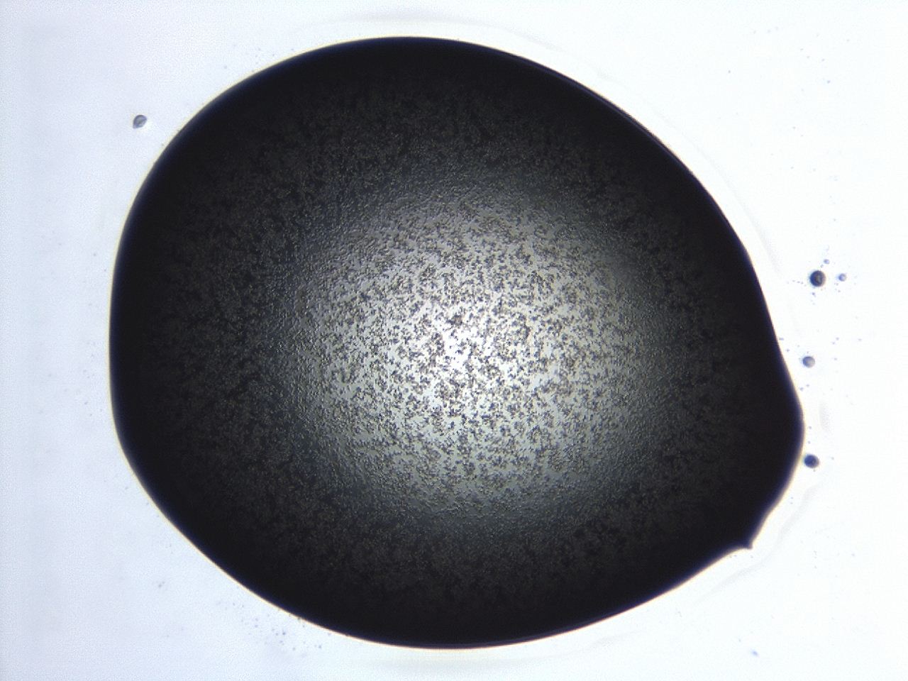 04ex_E6_ImagerDefaults_3.jpg
