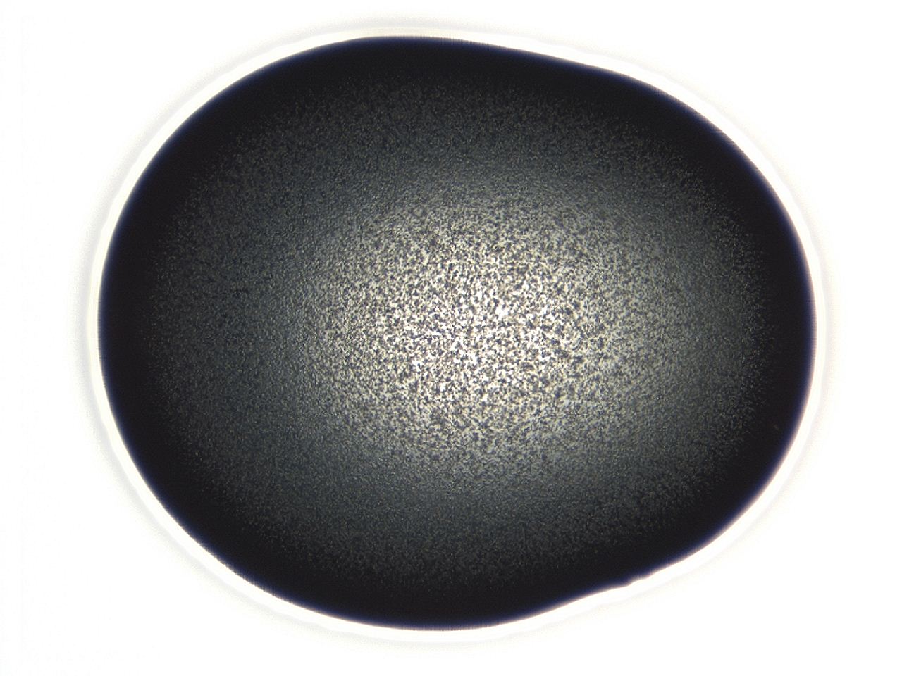 04ex_E8_ImagerDefaults_3.jpg