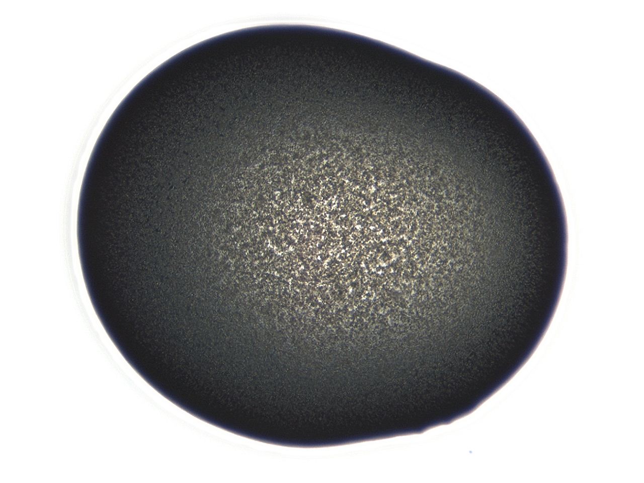 04ex_E9_ImagerDefaults_3.jpg