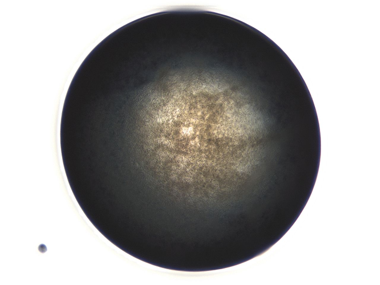 04ex_E11_ImagerDefaults_3.jpg