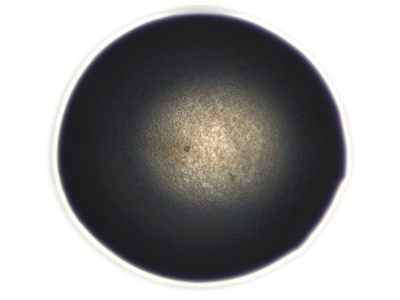 04ex_E12_ImagerDefaults_3.jpg