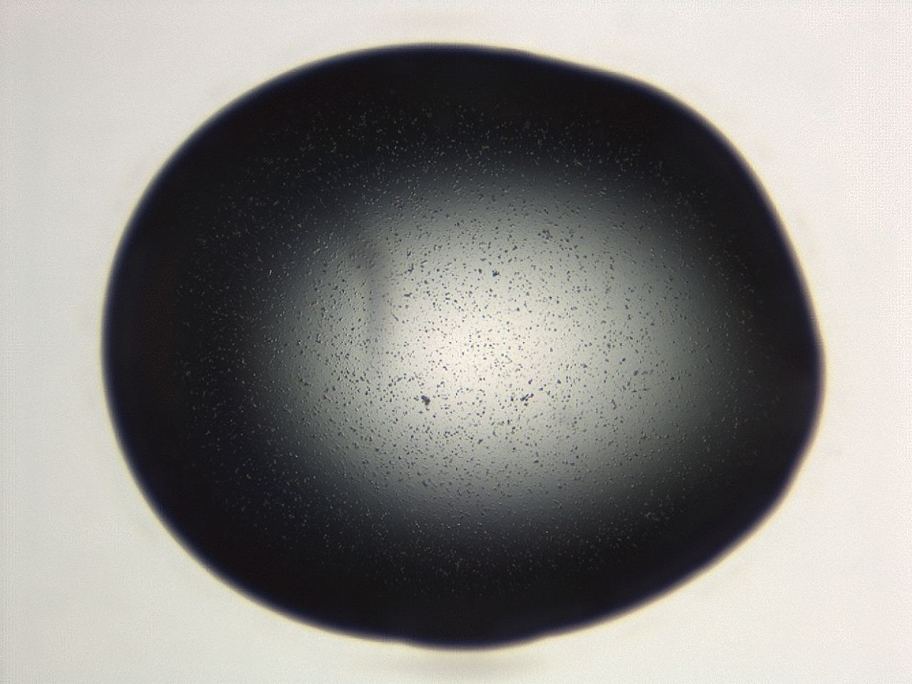 04ex_F3_ImagerDefaults_0.jpg
