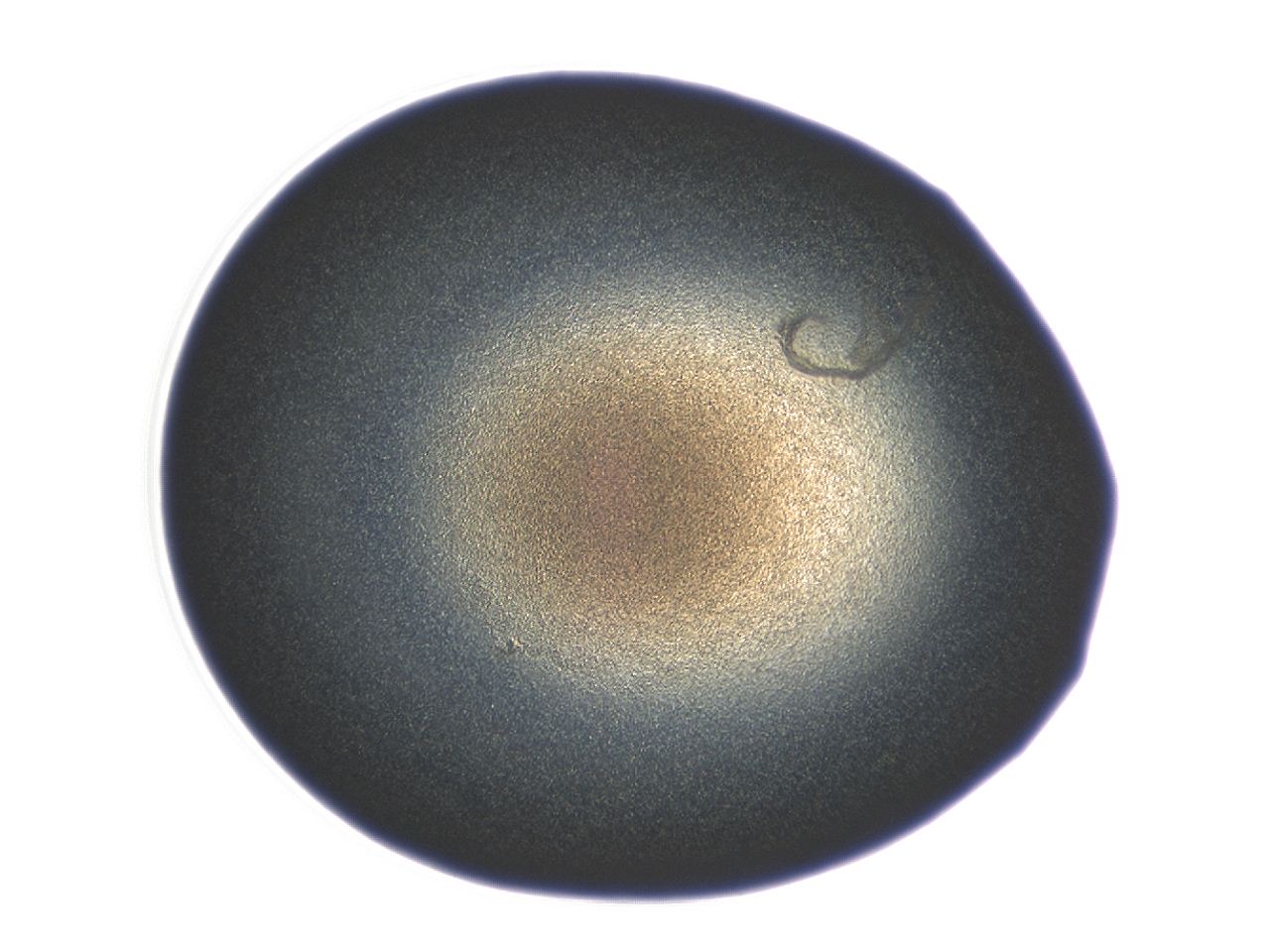 04ex_F4_ImagerDefaults_3.jpg
