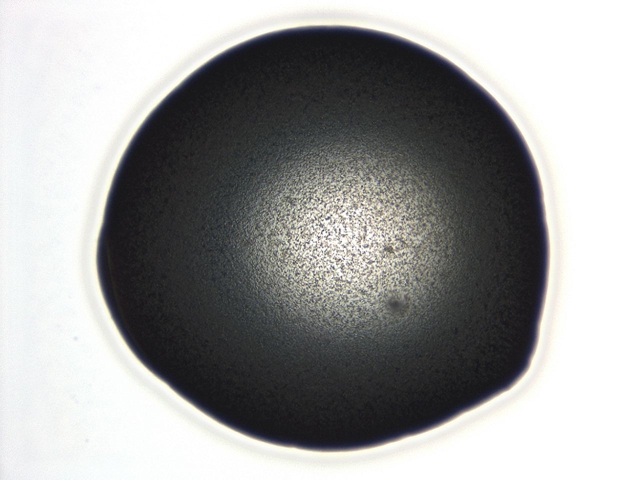 04ex_F8_ImagerDefaults_3.jpg