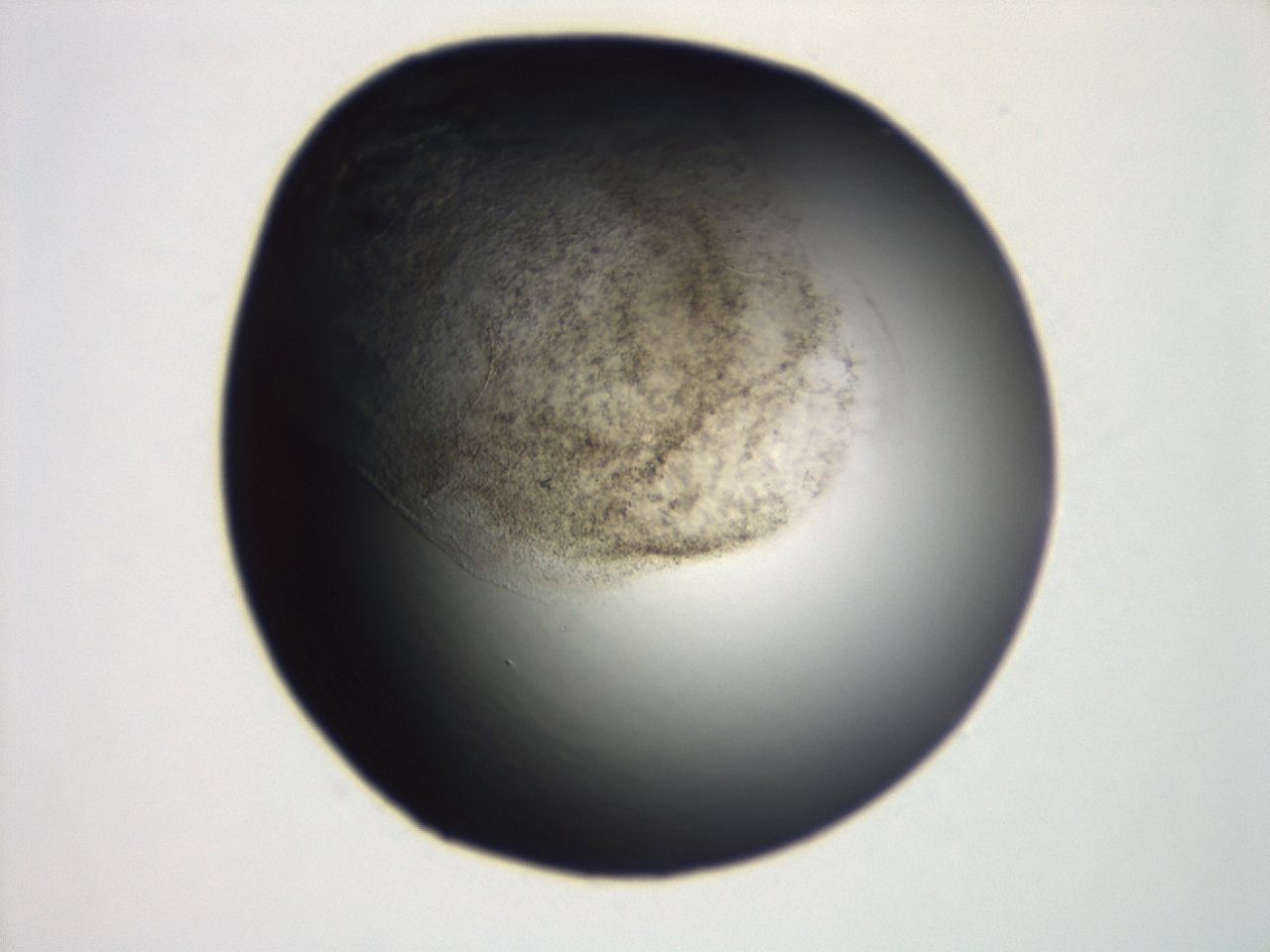 04ex_F12_ImagerDefaults_3.jpg
