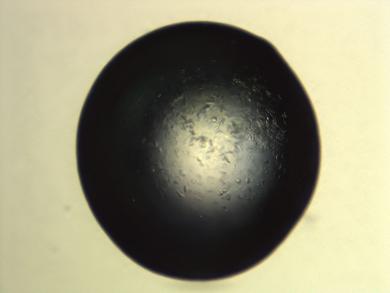 04ex_G2_ImagerDefaults_8.jpg