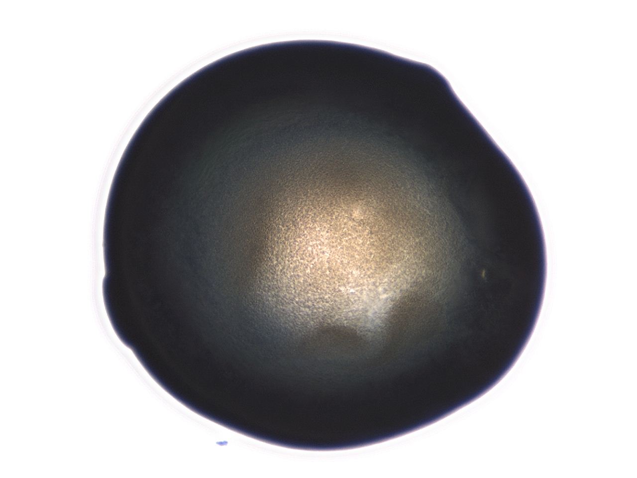 04ex_G3_ImagerDefaults_3.jpg