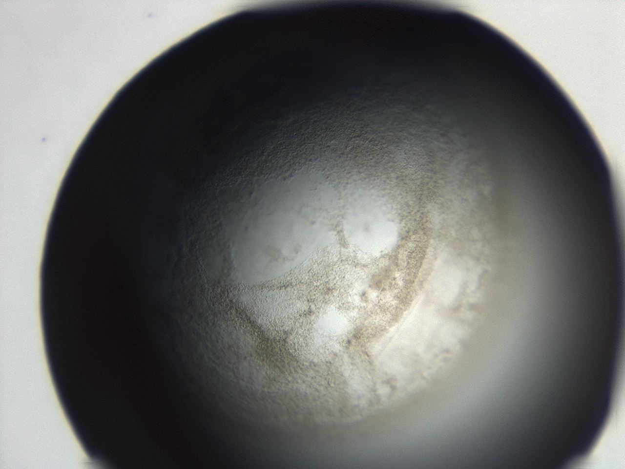 04ex_G5_ImagerDefaults_3.jpg