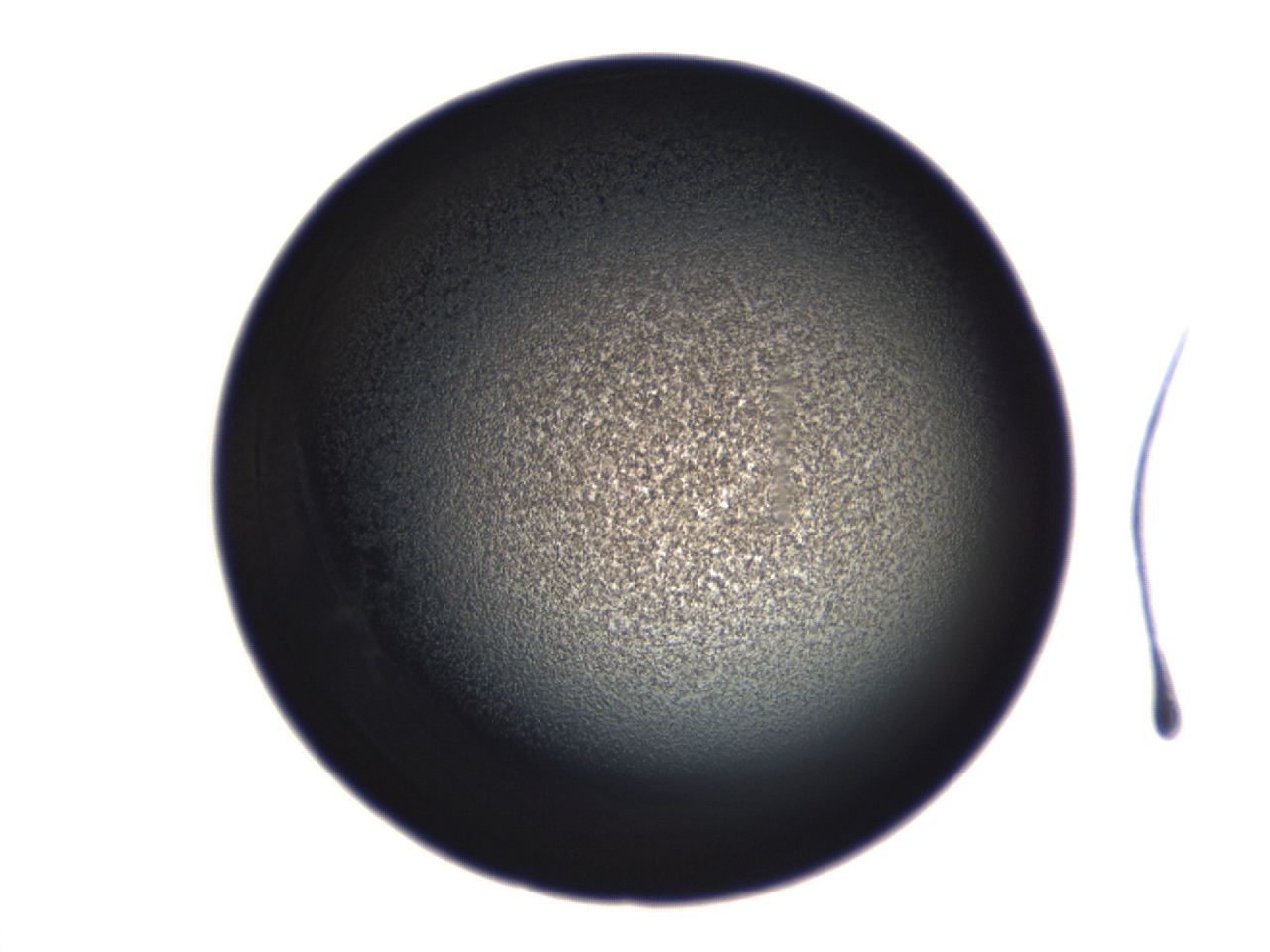 04ex_G7_ImagerDefaults_3.jpg