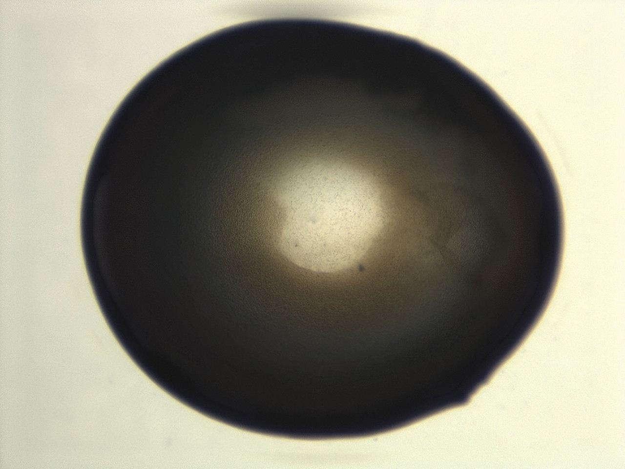 04ex_G10_ImagerDefaults_3.jpg