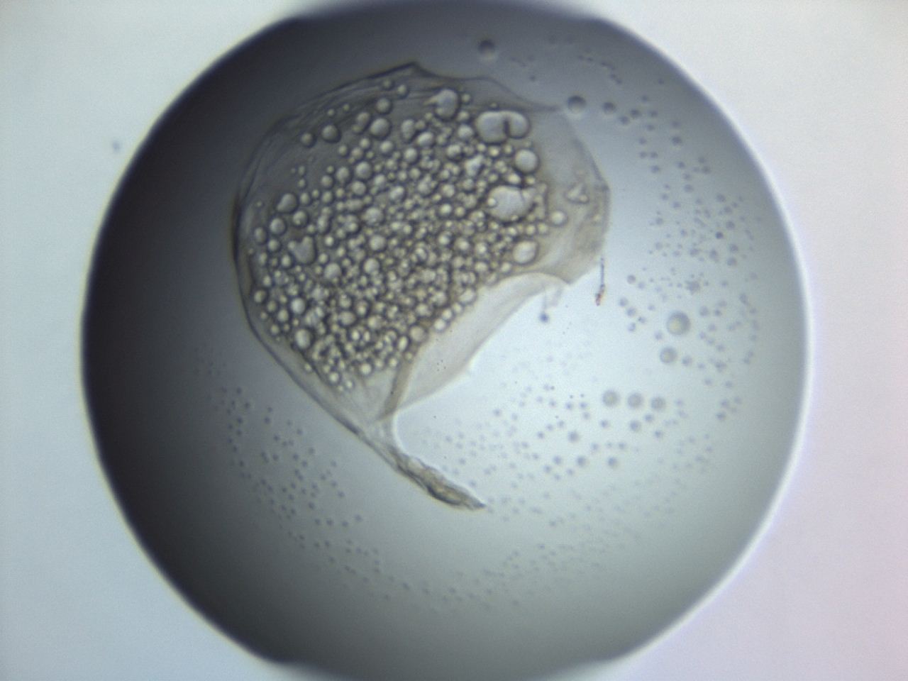 04ex_G11_ImagerDefaults_3.jpg