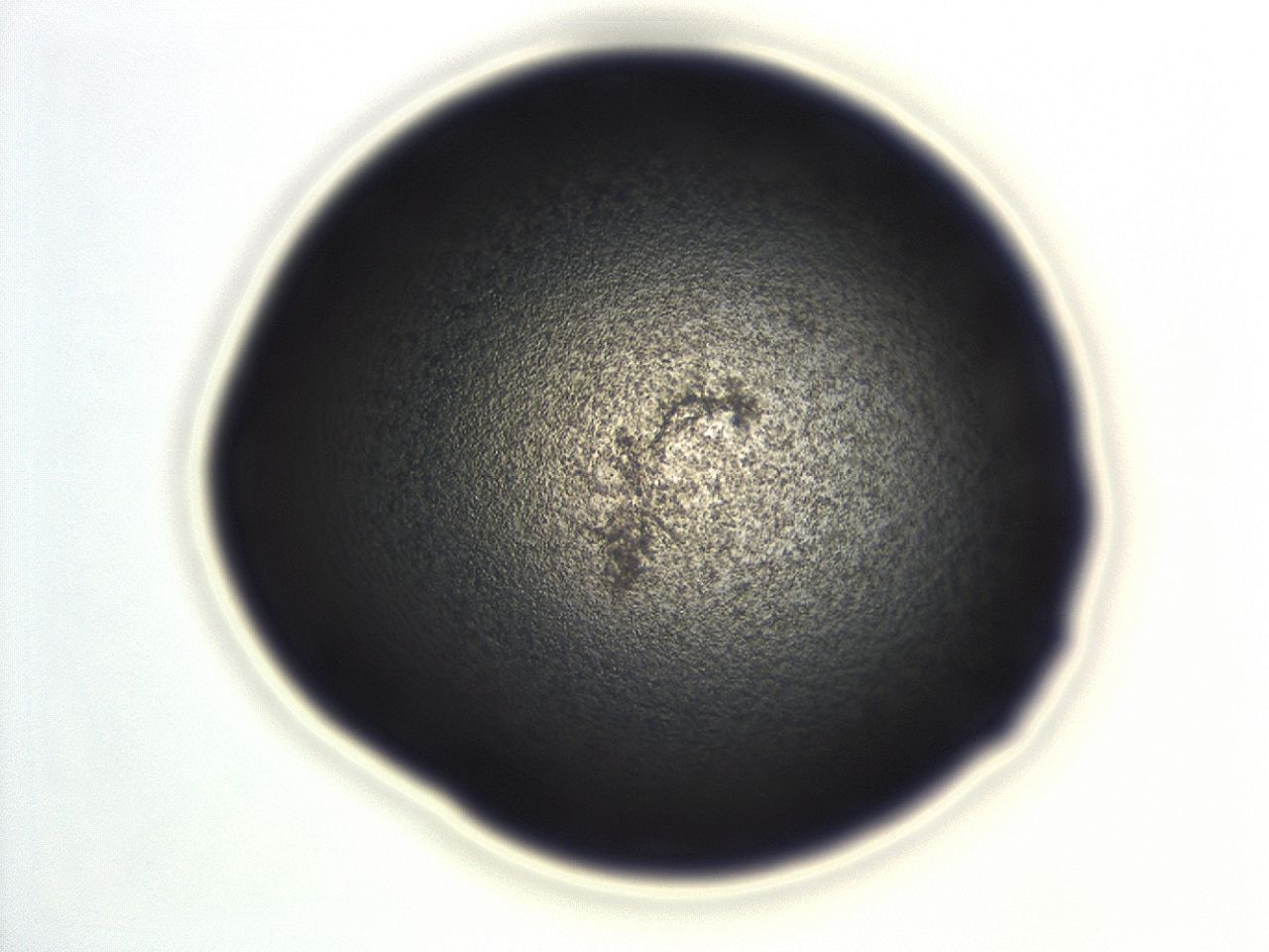 04ex_G12_ImagerDefaults_3.jpg