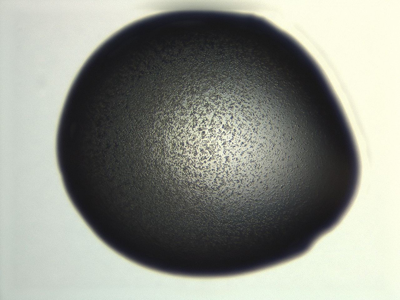 04ex_H11_ImagerDefaults_3.jpg