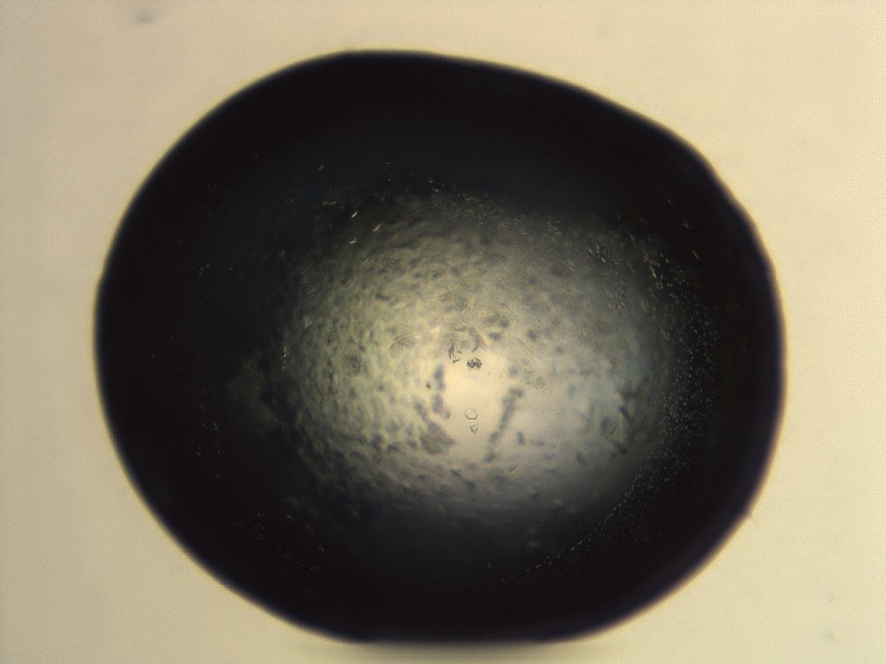 04ey_G2_ImagerDefaults_8.jpg