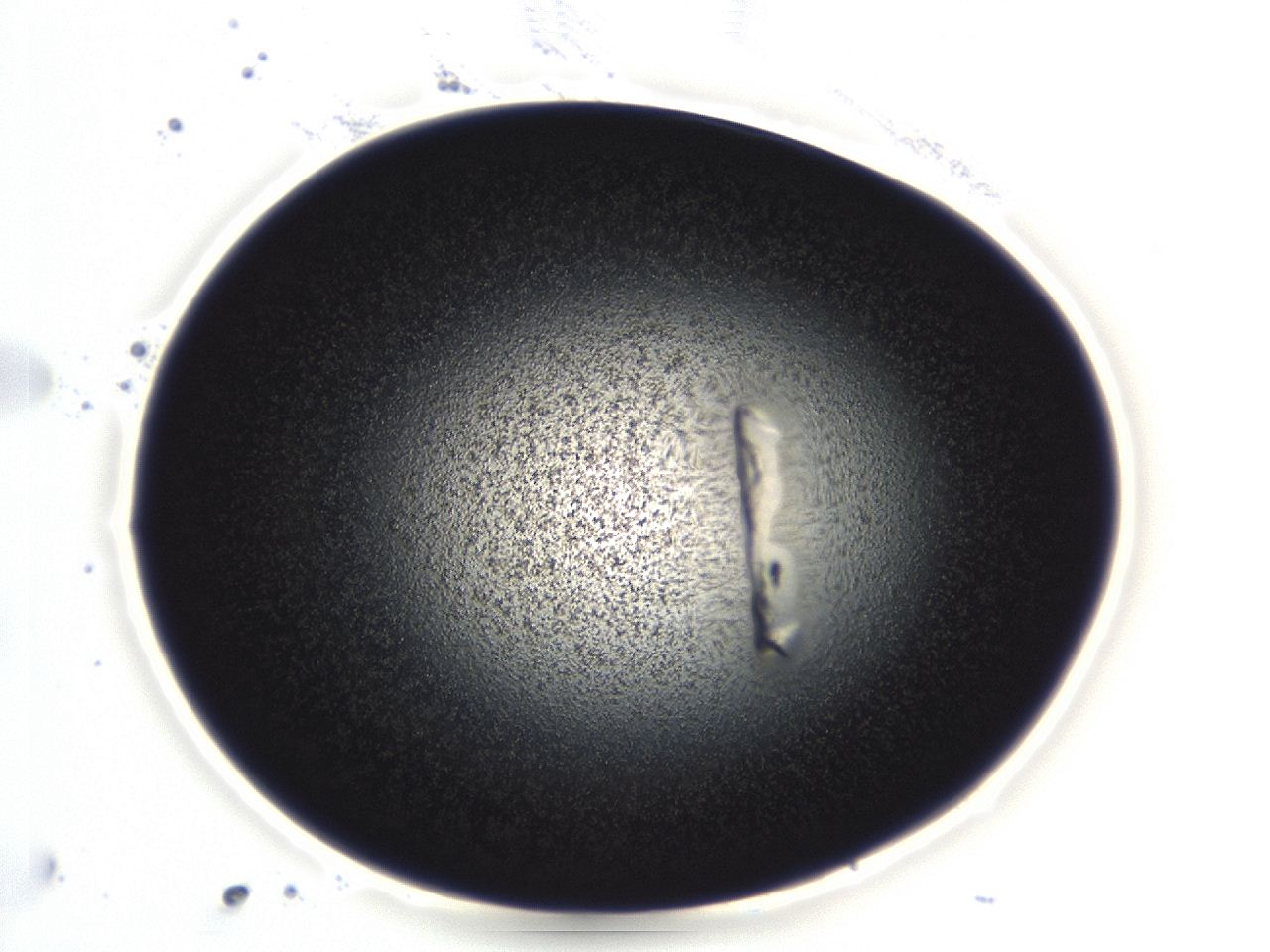 04ey_D7_ImagerDefaults_3.jpg