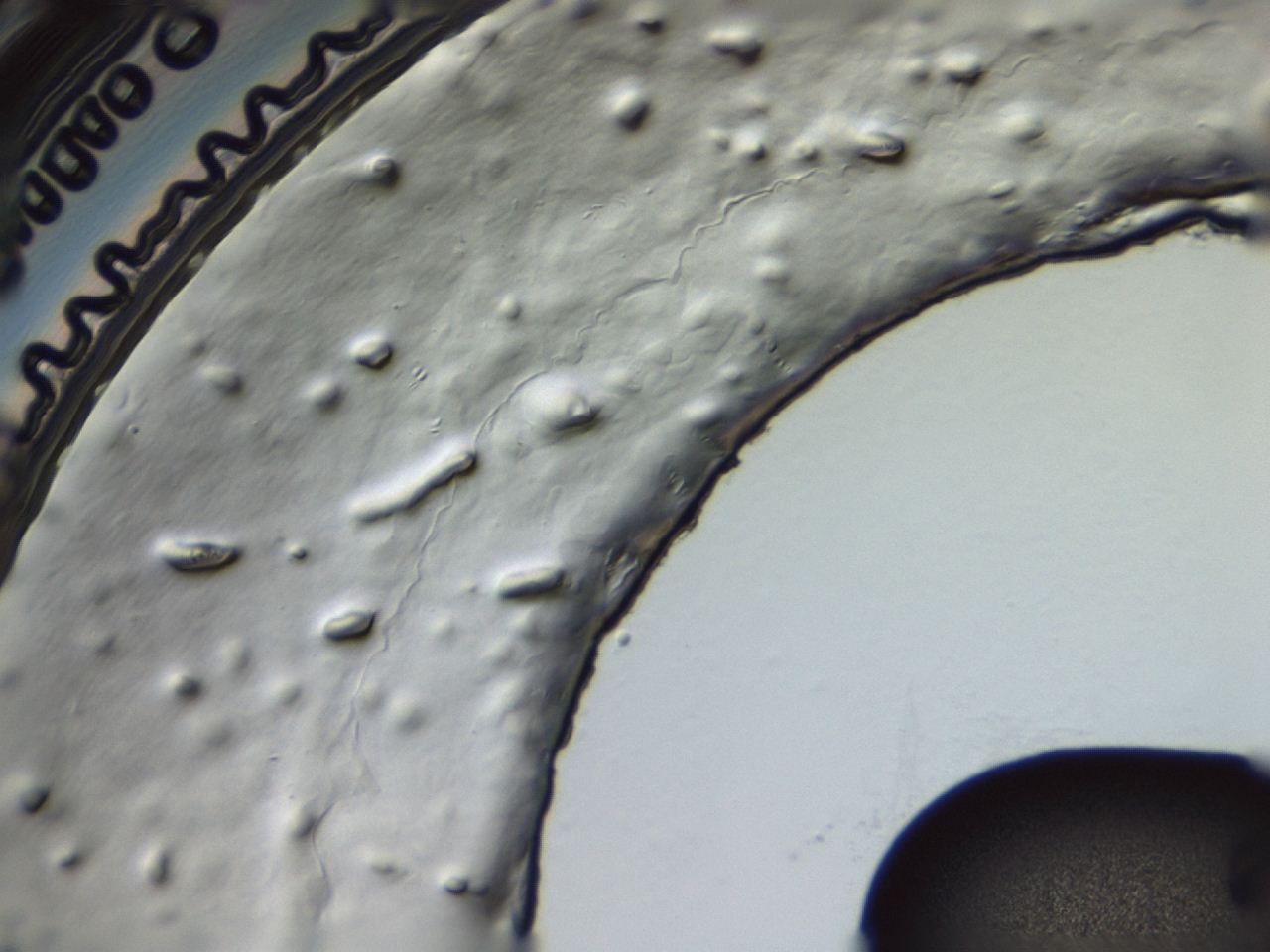 04ey_D10_ImagerDefaults_3.jpg
