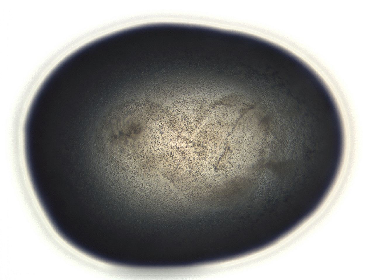 04ey_D11_ImagerDefaults_3.jpg