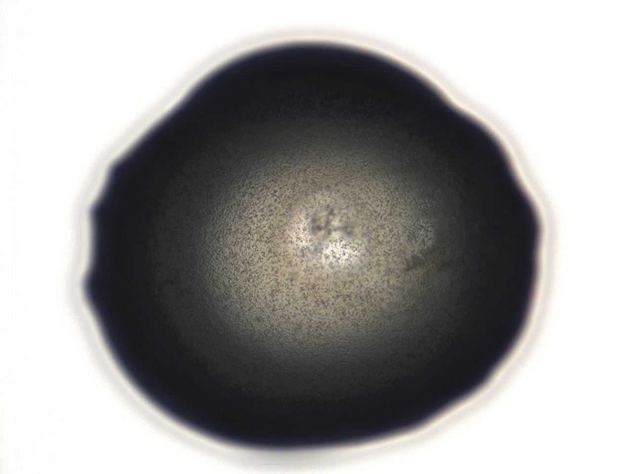 04ey_D12_ImagerDefaults_3.jpg