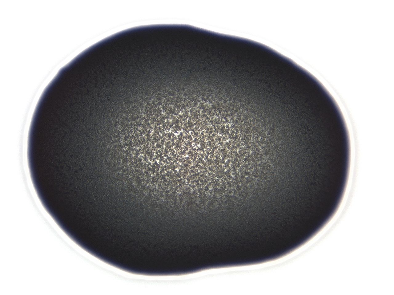 04ey_B11_ImagerDefaults_3.jpg